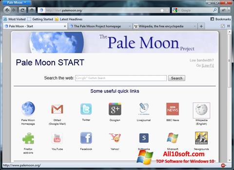 スクリーンショット Pale Moon Windows 10版
