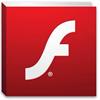 Flash Media Player Windows 10版