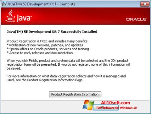 スクリーンショット Java Windows 10版