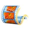 Windows Live Movie Maker Windows 10版