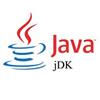 Java SE Development Kit Windows 10版